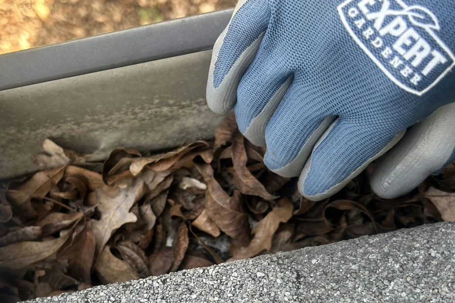 Gutter Cleaning Conway SC