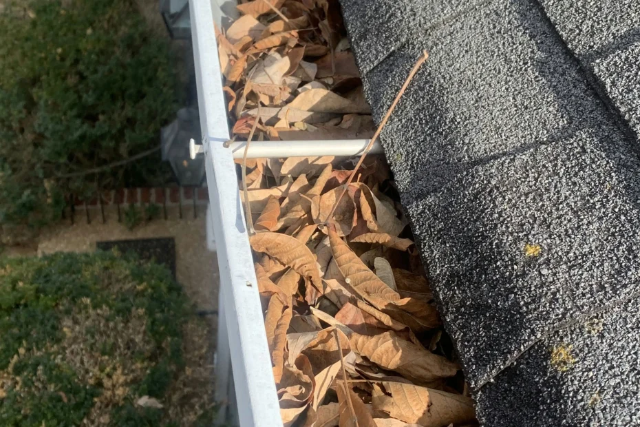 Gutter Cleaning Conway SC