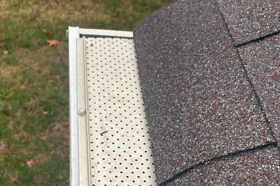 Gutter Cleaning Conway SC